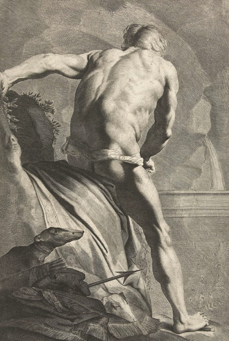 Narcissus