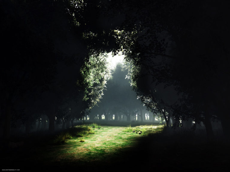 darkness_to_light_luz_escuro