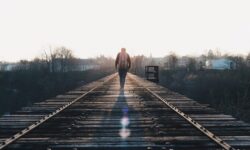 dan-gribbin-fDcwEmqMJls-unsplash-1024x683 (1)